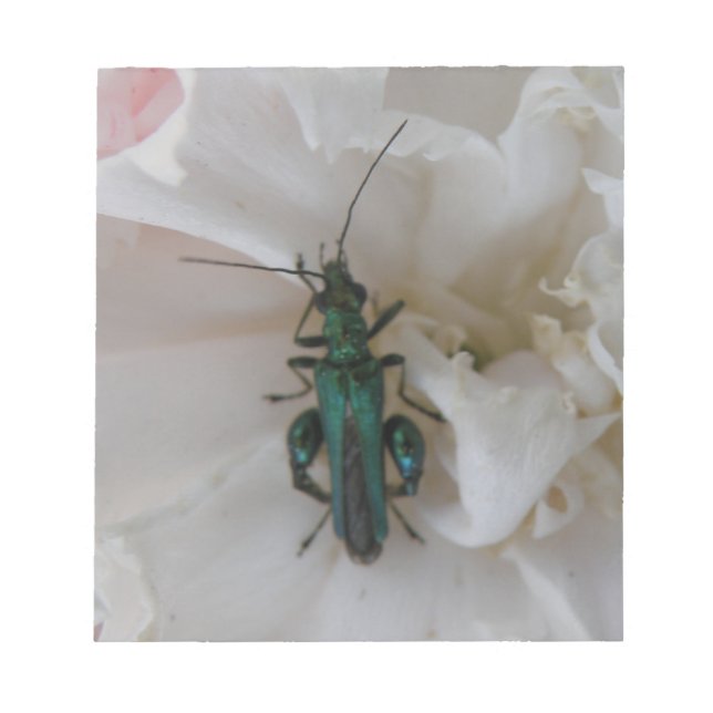 Flower Beetle Notepad (Front)