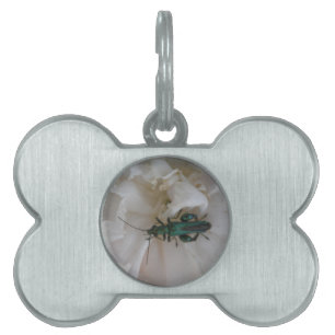 Flower Beetle Pet Tag