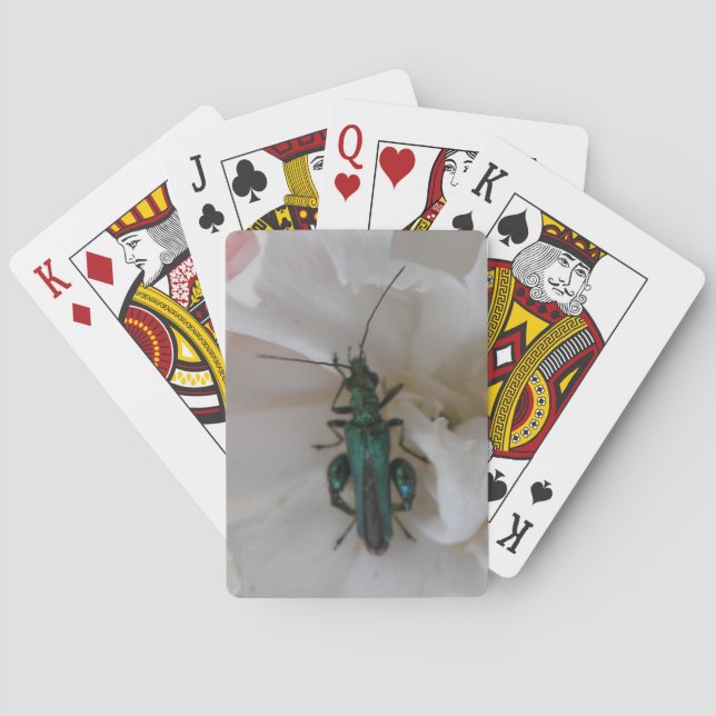 Flower Beetle Playing Cards (Back)