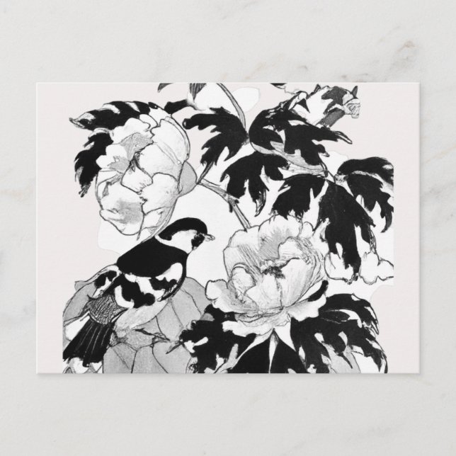 Flower Bird Black and White Postcard (Front)