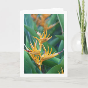 Flower (Bird of Paradise) Blank Card