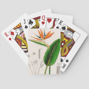 Flower bird of paradise vintage illustrated playing cards