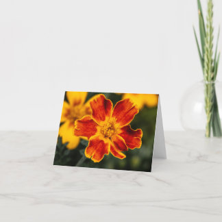 Flower Blank Notecard