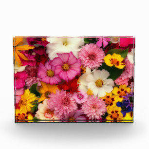 Flower Blast Photo Block