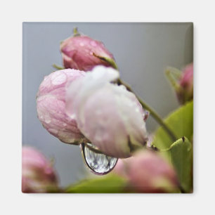 Flower Blossom and Raindrop Magnet