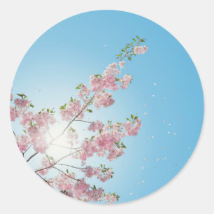flower blossom close up classic round sticker