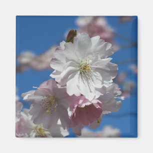 Flower blossom magnet