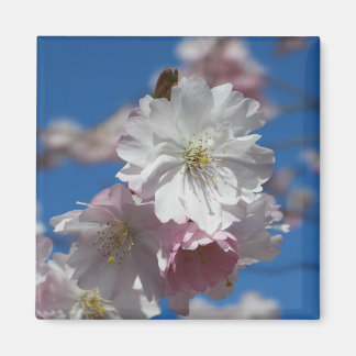 Flower blossom magnet
