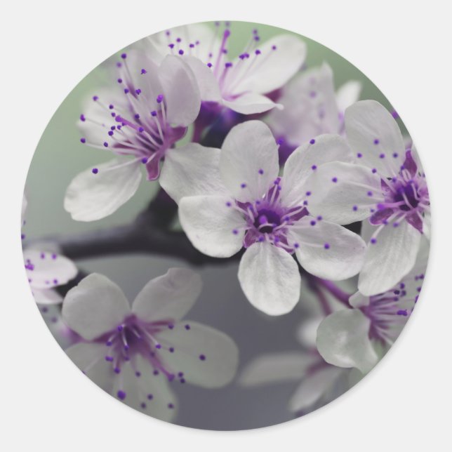 flower blossoms stickers (Front)