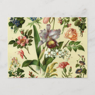Flower Botanicals Postcard