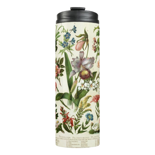 Flower Botanicals Thermal Tumbler (Front)