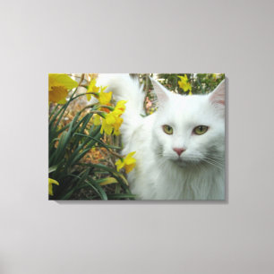 FLOWER BOUQUET KITTY CANVAS PRINT
