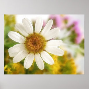 Flower Bouquet - White Daisy Poster