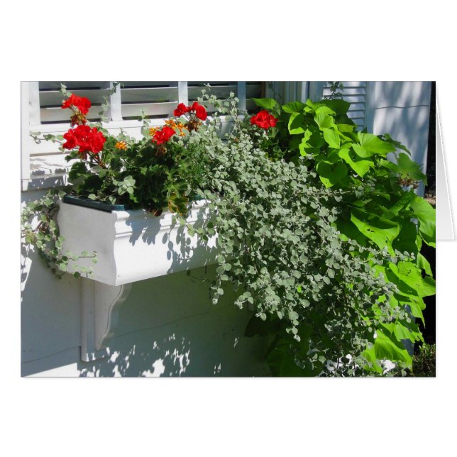 Flower Box (Front Horizontal)