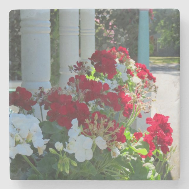 Flower Box Geraniums - Martha's Vineyard Stone Coaster (Front)