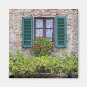 Flower box on window magnet