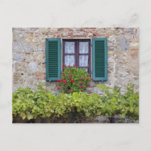Flower box on window postcard