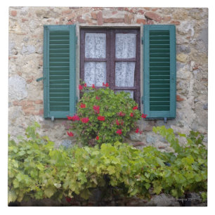 Flower box on window tile