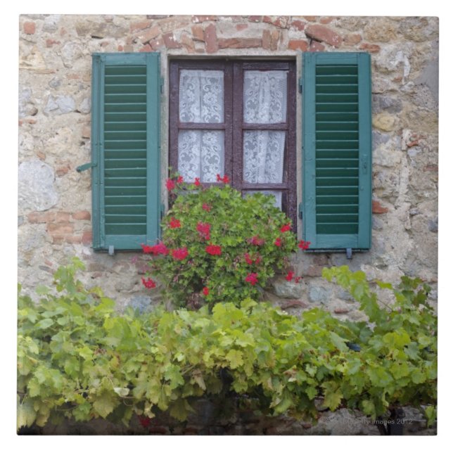 Flower box on window tile (Front)