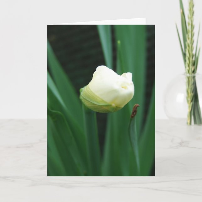 Flower Bud Card (Front)