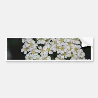 flower bumper sticker