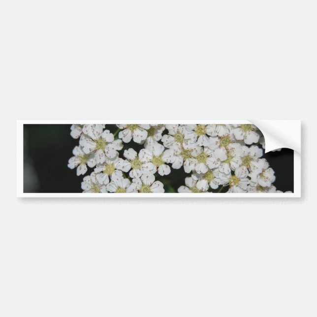 flower bumper sticker (Front)