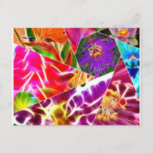Flower Burst Postcard