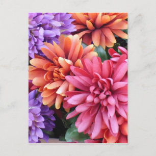 Flower Bursts Postcard