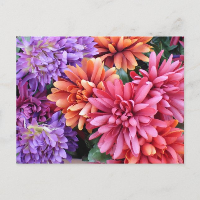 Flower Bursts Postcard (Front)