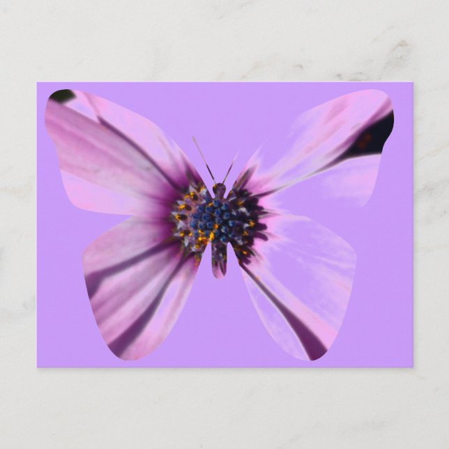 Flower Butterfly Postcard (Front)