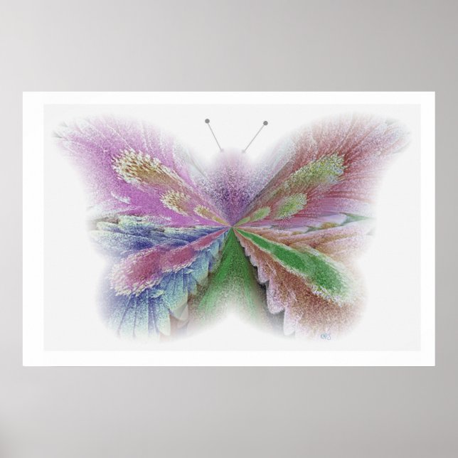 Flower Butterfly Poster (Front)