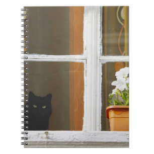Flower by the window, Sighisoara, Romania Notebook