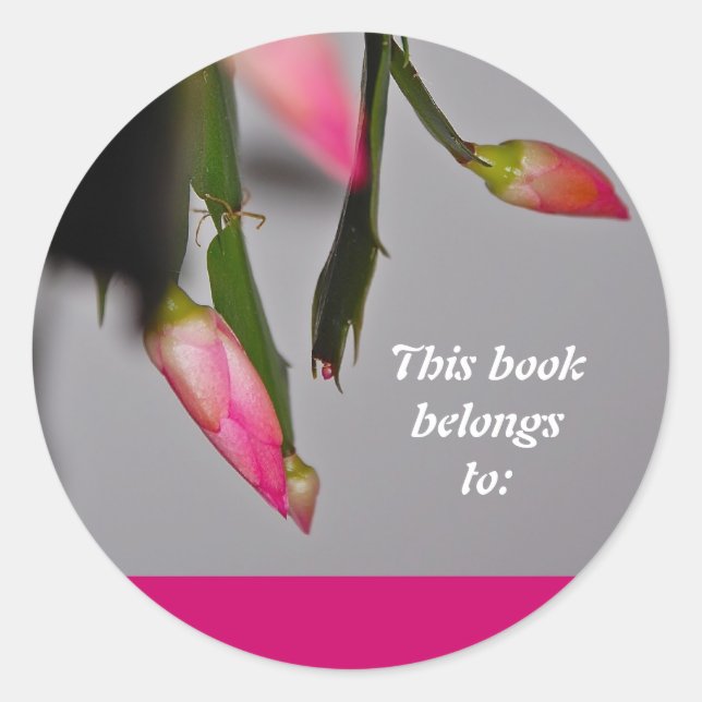 Flower Cactus Christmas Bloom Classic Round Sticker (Front)