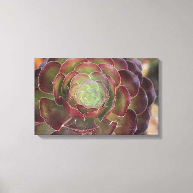 Flower Canvas Print (Front)