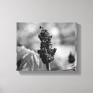flower canvas print