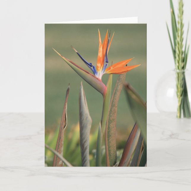 Flower Card (Front)