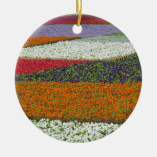 Flower Carpet Ornament