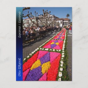 Flower carpets in Azores Postcard