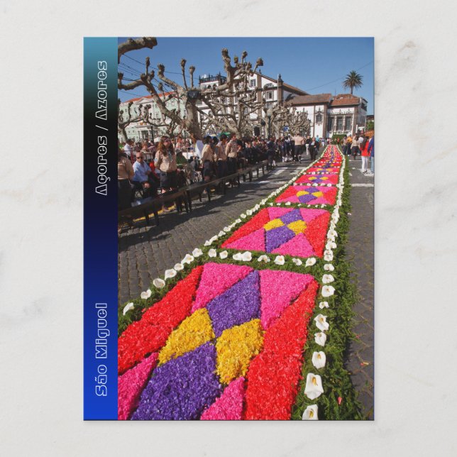 Flower carpets in Azores Postcard (Front)