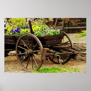 Flower Cart Poster