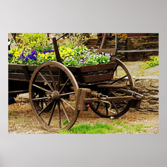 Flower Cart Poster (Front)