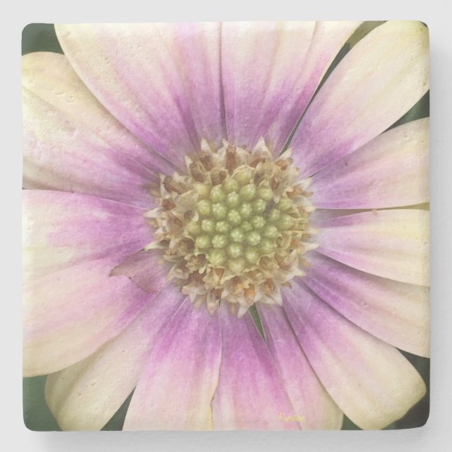 Flower Centre coaster (Front)
