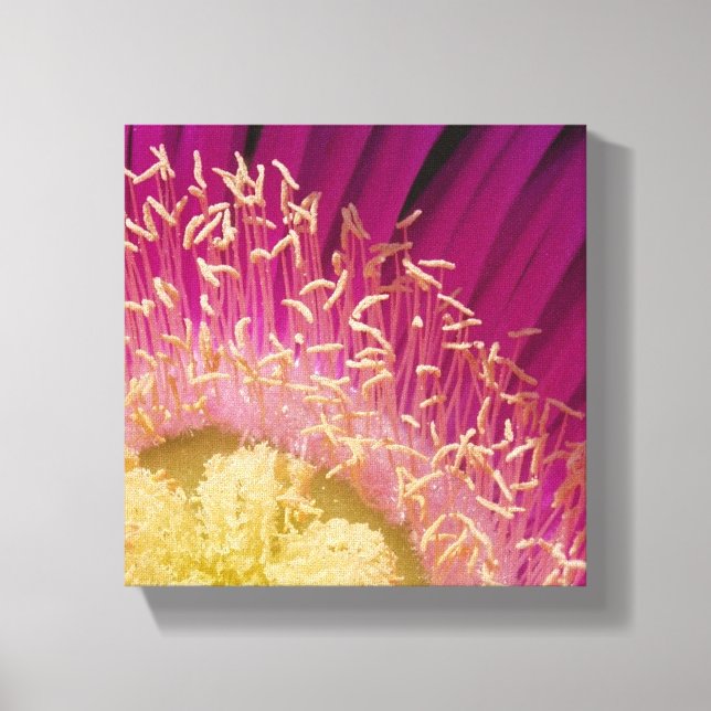 Flower Centre Wrapped Canvas (Front)