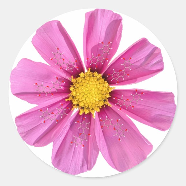 Flower Chemistry Sticker (Front)