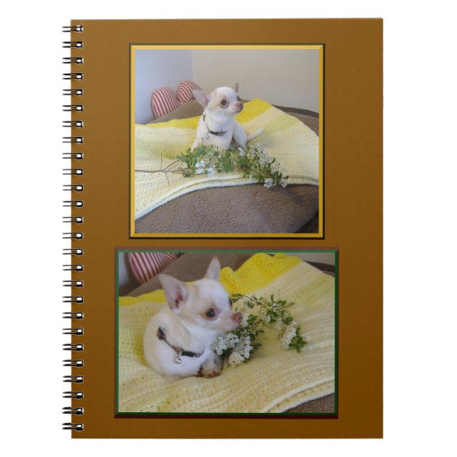 Flower Chihuahua Spiral  Notebook (Front)