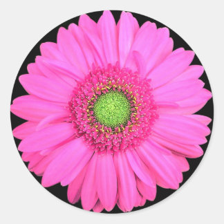 Flower Classic Round Sticker