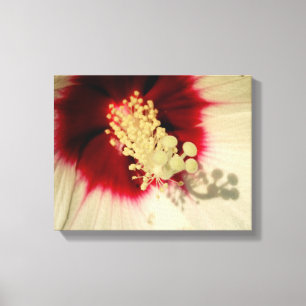 Flower Close Up Photo Single Art Poster Canvas Print