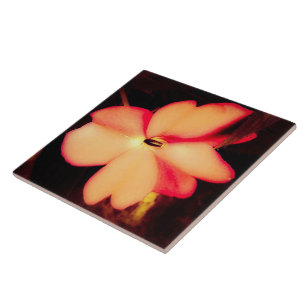 Flower Closeup in Peach Tile