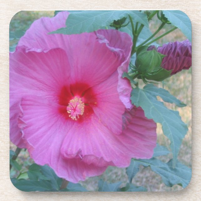 Flower Coaster (Front)