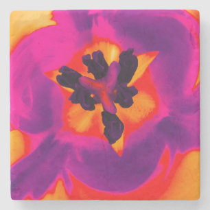 Flower coaster tulip